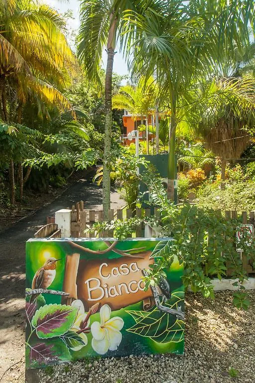 *** Guest house Casa Bianca Hotel Rincon Puerto Rico